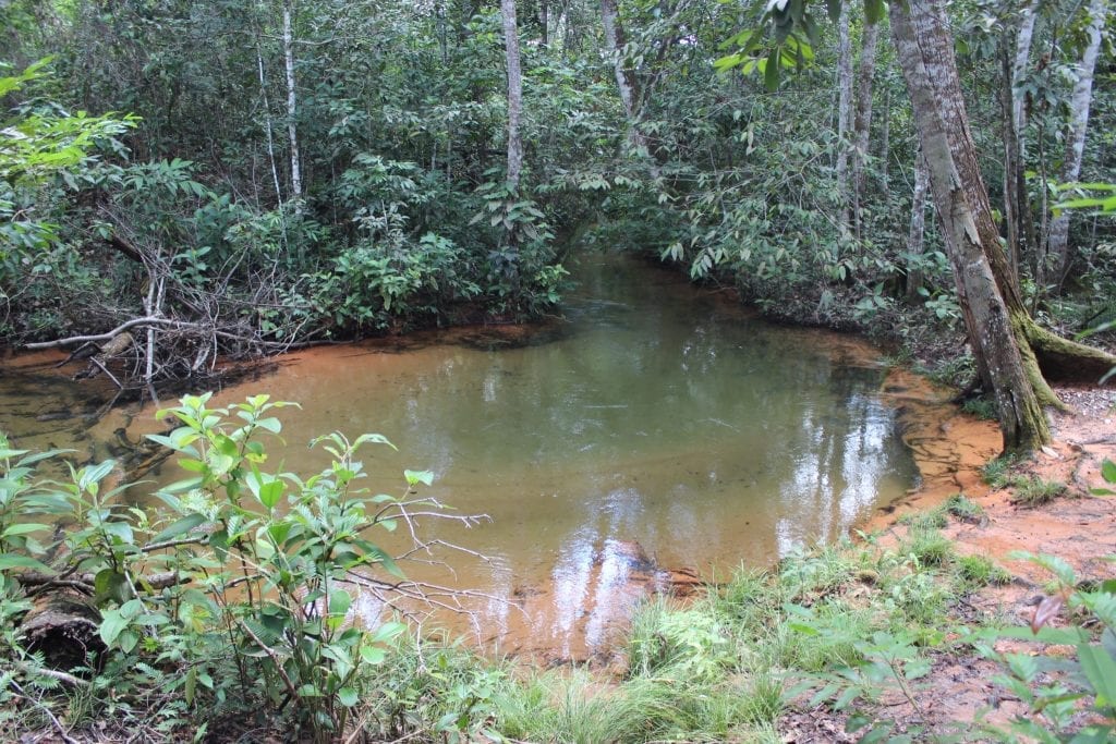 poço verde